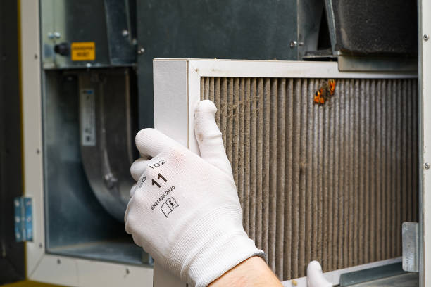 Best Commercial Air Duct Cleaning  in Live Oak, FL